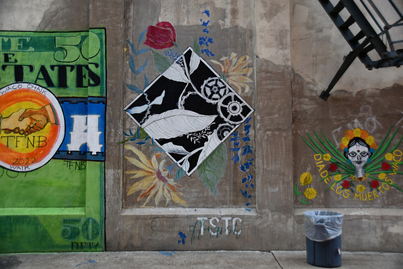 TSTC 0001