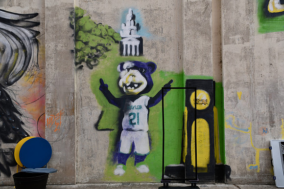 Baylor Bear 0001