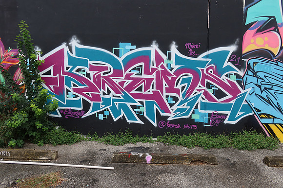 Chestnut Street Wall 0012