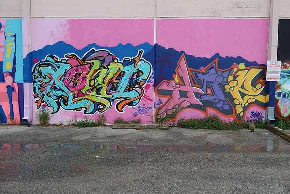 Chestnut Street Wall 0002