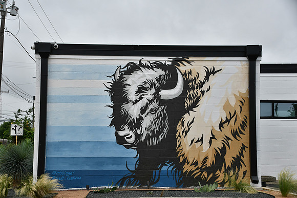 Buffalo 0001