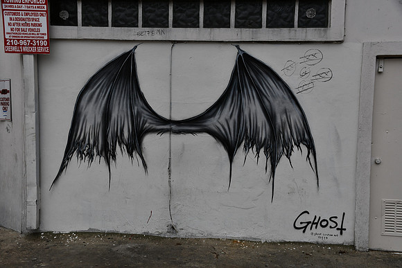 Bat Wings 0001