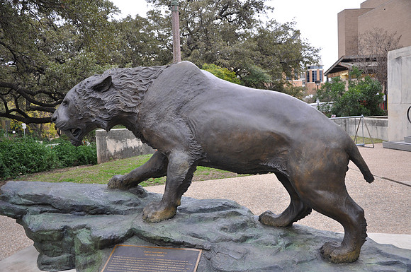 Saber-toothed Cat 01