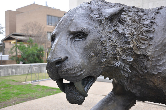 Saber-toothed Cat 02