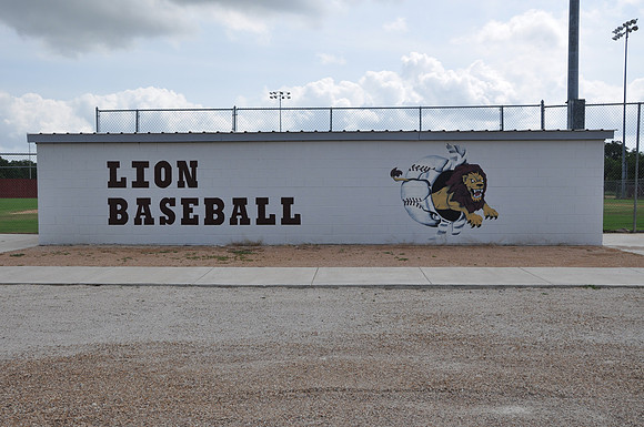 Lion Baseball