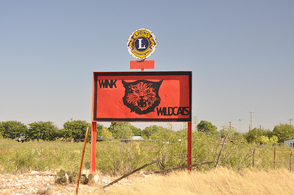 Wink Wild Cats