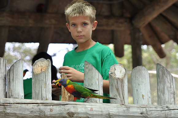 San Antonio Zoo 0089