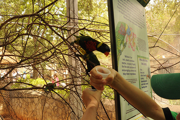 San Antonio Zoo 0096
