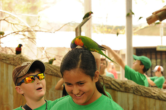 San Antonio Zoo 0093