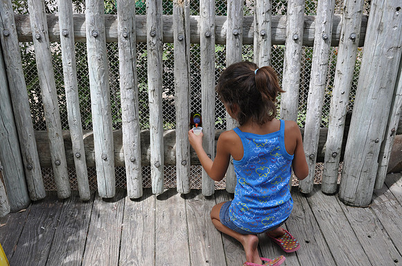 San Antonio Zoo 0091