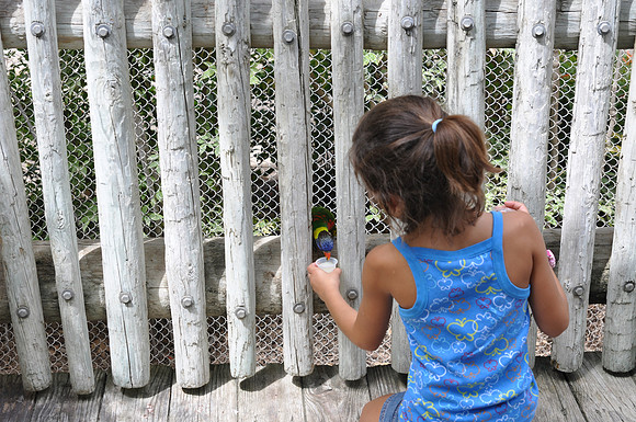 San Antonio Zoo 0090