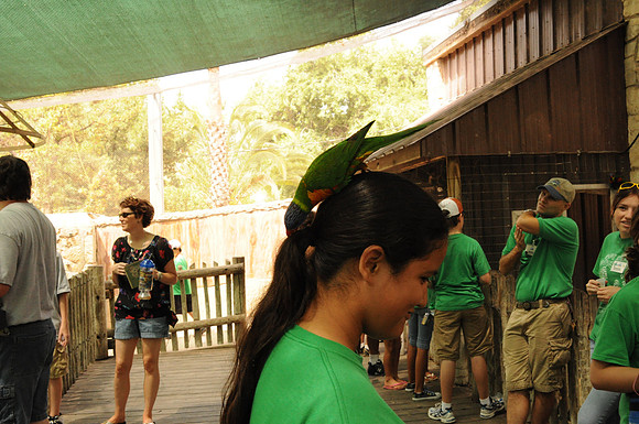 San Antonio Zoo 0097
