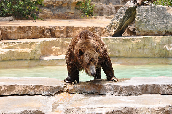 San Antonio Zoo 0122