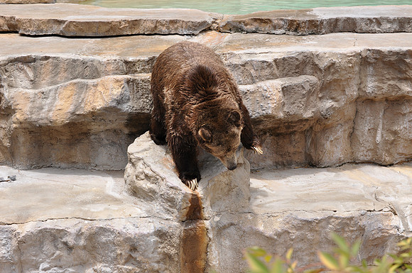 San Antonio Zoo 0128