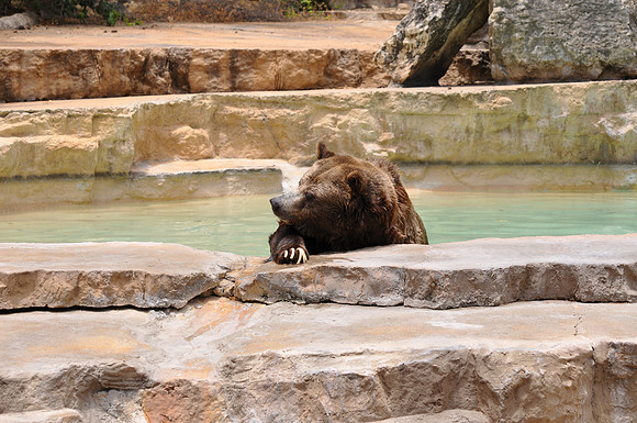 San Antonio Zoo 0119
