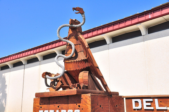 Del Rio Eagles 0001c