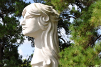 Woman's Head