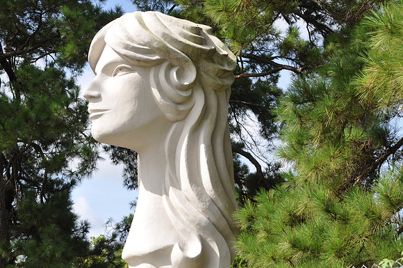 Woman's Head