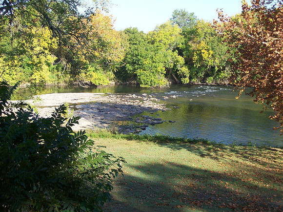 Buffalo Crossing