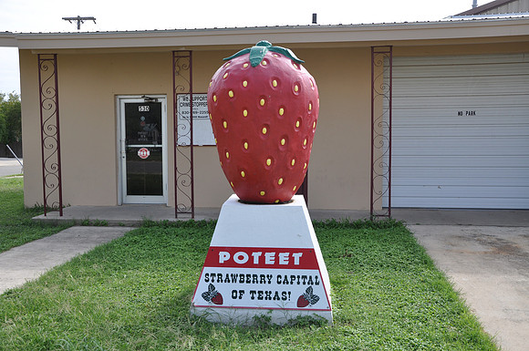 Poteet Strawberry