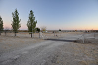 Mexican Cemetery