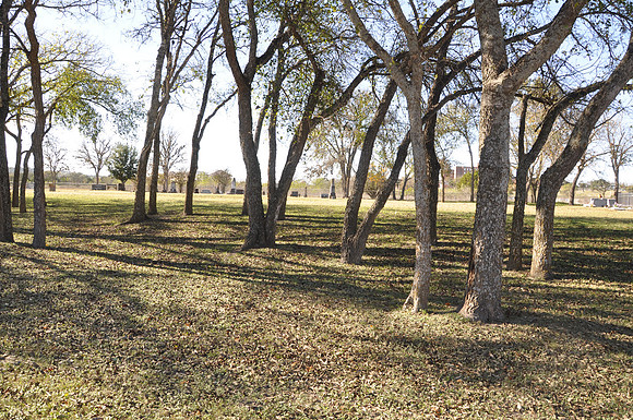 Brown Cemetery