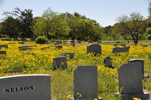 Sunset Cemetery 0001b