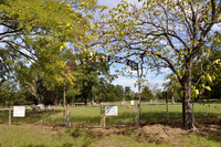McKenzie Cemetery