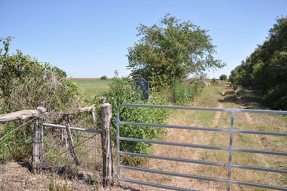 Wilson Springs Cemetery