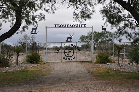 Tequesquite