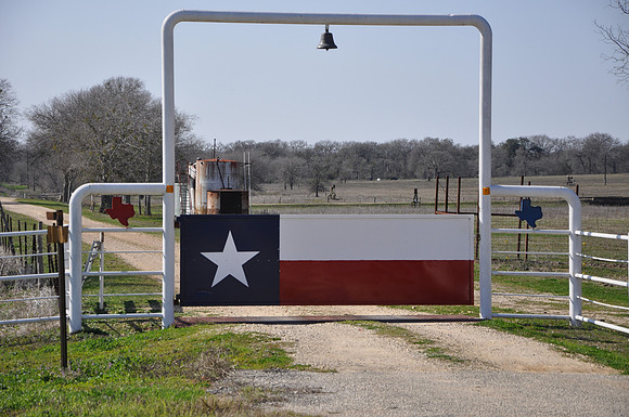 Texas Flag