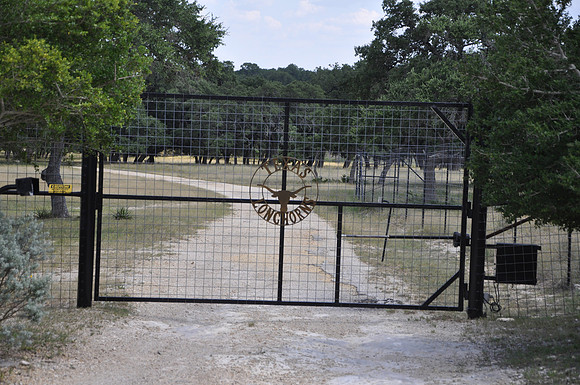 Texas Longhorns