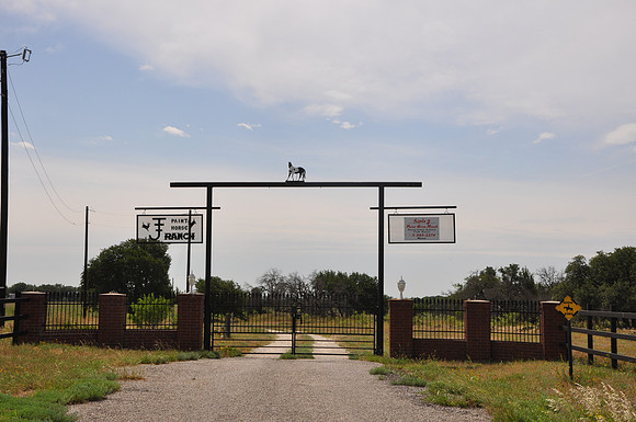 Paint Horse Ranch
