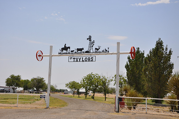 Taylors