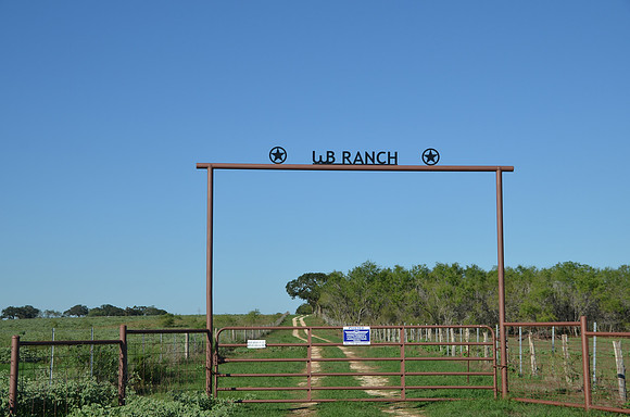 Texas Ranch Gate
