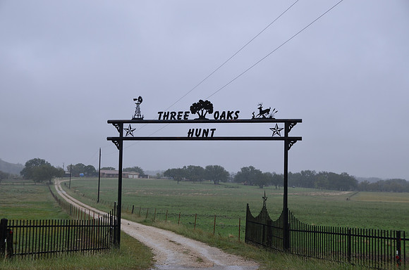 Three Oaks