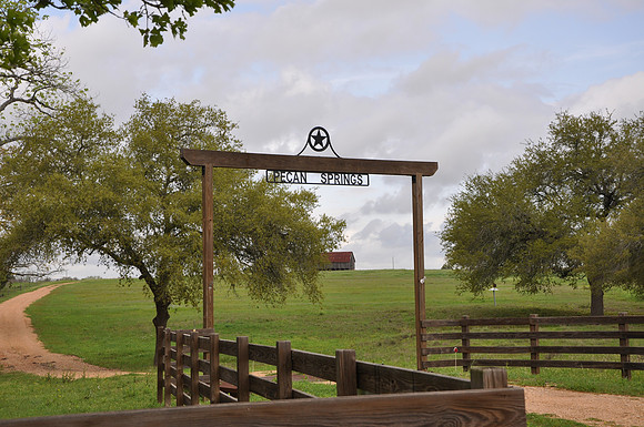 Pecan Springs