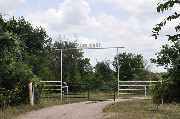 Plum Ridge