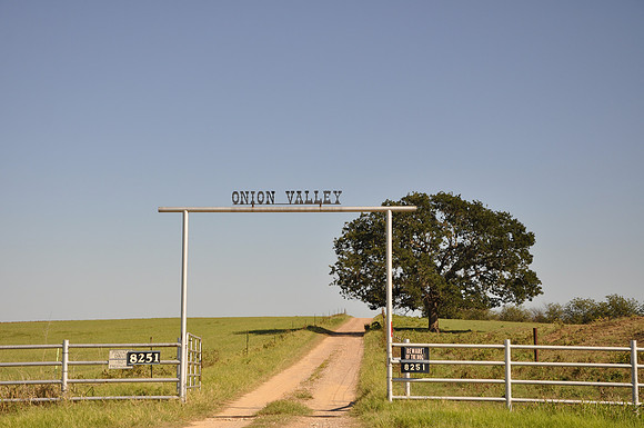 Onion Valley