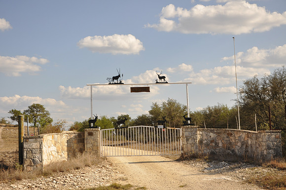 Real Hatch Ranch