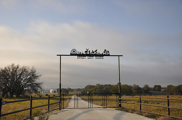Sweet Lucy Ranch