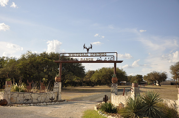 Whitetail Springs Ranch