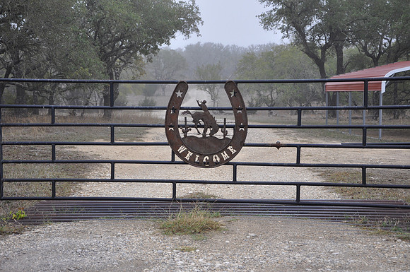 Welcome - Horseshoe