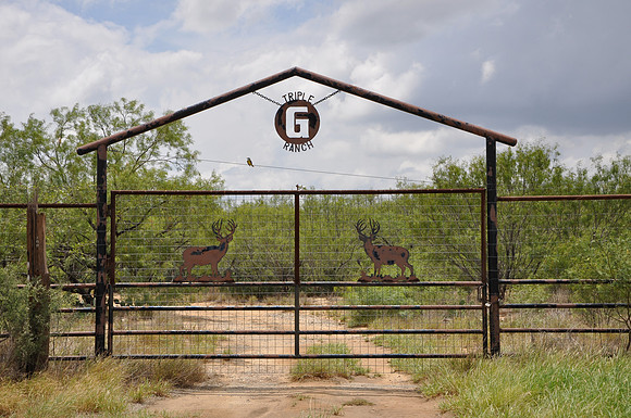 Triple G Ranch