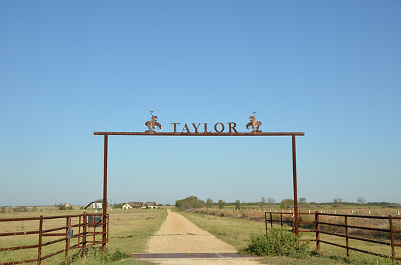 Taylor