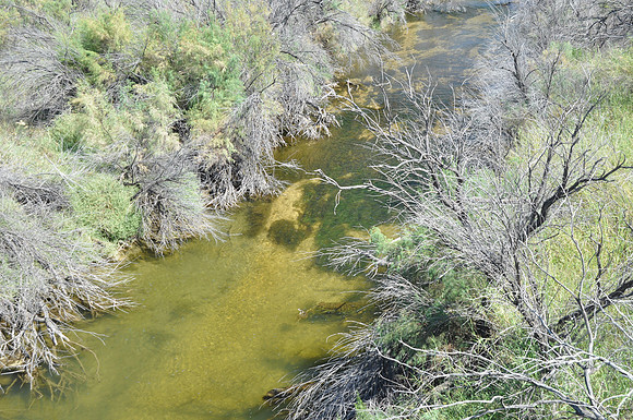 Pecos River 0017