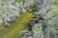 Pecos River 0016