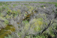 Pecos River 0014
