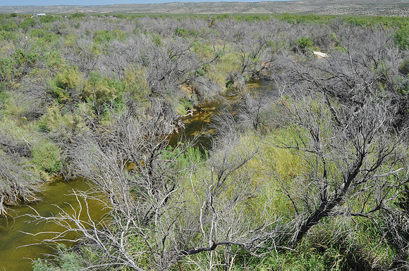 Pecos River 0014
