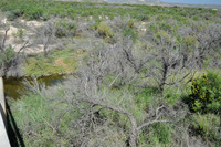 Pecos River 0012